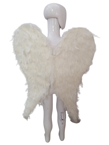 Alas de Ángel (Plumas)