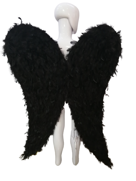 Alas de Ángel (Plumas)